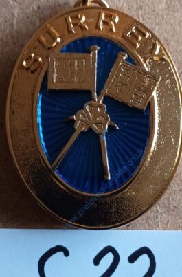 ONLY £8 for the wonderful Surrey Past Provincial Grand Standard Bearer Collar Jewel – FREE DELIVERY!!