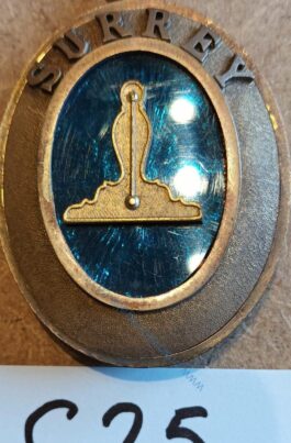 Surrey Past Provincial Senior Grand Warden Collar Jewel – hallmarked ❖❖FREE POSTAGE AND PACKAGING❖❖