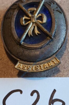 Surrey Past Provisional Asst Grand DC Collar Jewel hallmarked – ❖❖FREE POSTAGE AND PACKAGING❖❖