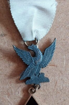 Breast Jewel for Knight Companion ❖❖FREE POSTAGE AND PACKAGING❖❖