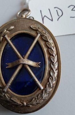 Assistant Grand Director of Ceremonies Collar Jewel