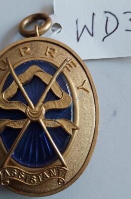 Surrey Past Provincial Assistant Grand Director of Ceremonies Collar Jewel