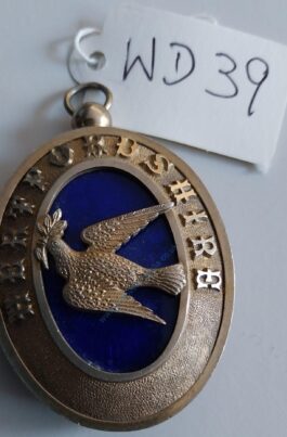 Hertfordshire Past Provincial Grand Deacon Collar Jewel 💙Hall Marked🤩