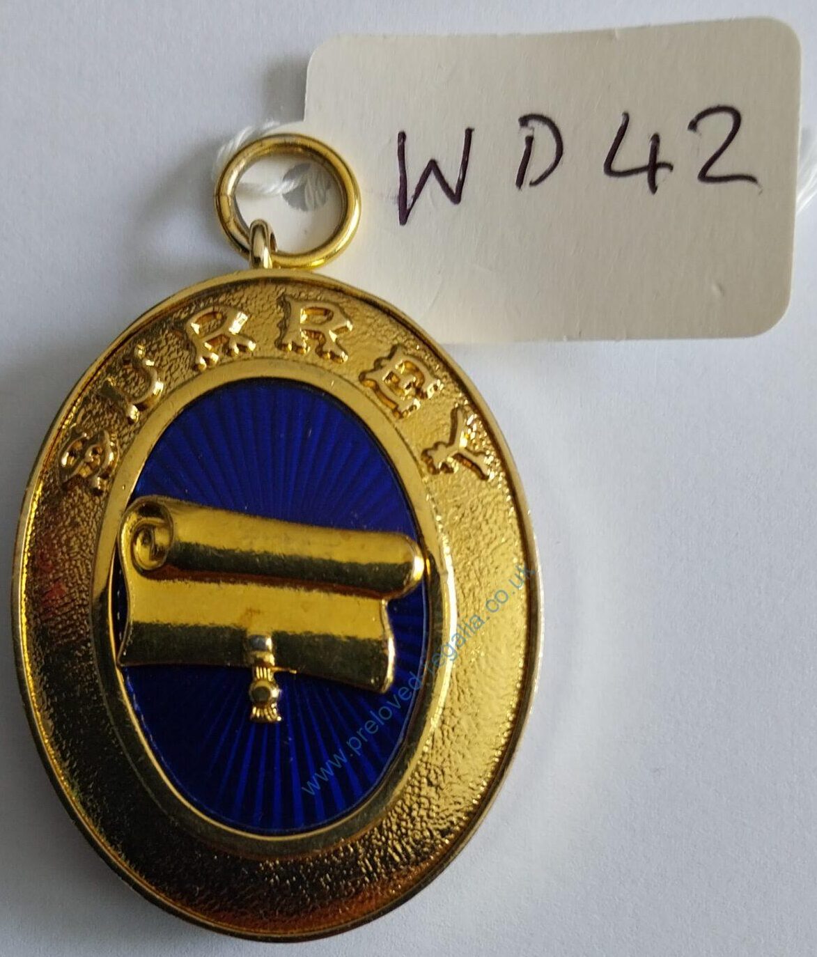 Surrey Past Provincial Grand Registrar Collar Jewel